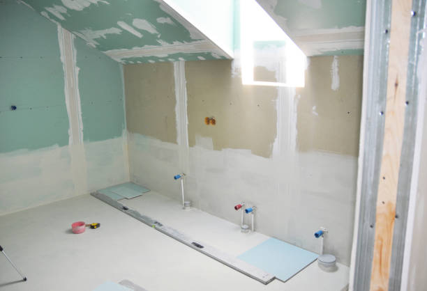  Downs, IL Mold Removal Pros