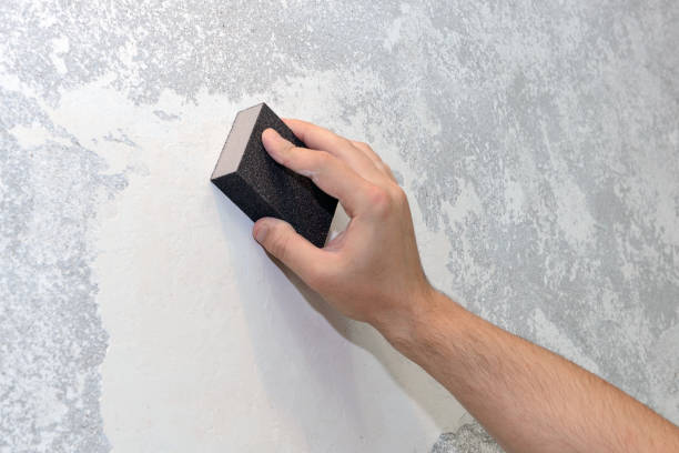 Trusted Downs, IL Mold Removal Experts