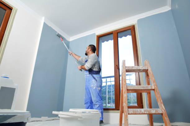 Mold Odor Removal Services in Downs, IL