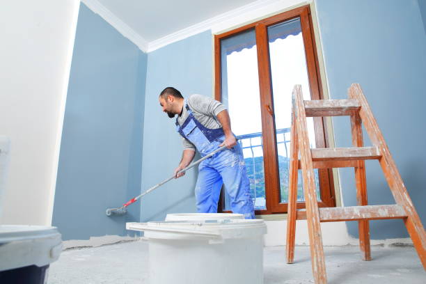 Forensic Mold Investigation in Downs, IL