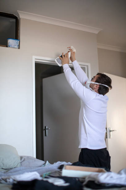 Best Air Quality Testing for Mold Spores  in Downs, IL