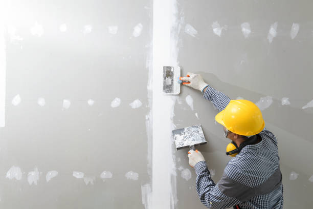 Best Crawl Space Mold Remediation  in Downs, IL