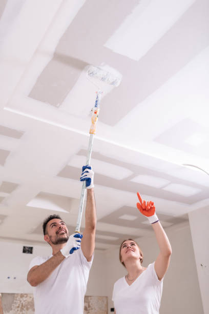 Best Mold Odor Removal Services  in Downs, IL
