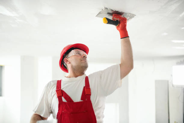 Best Post-Remediation Verification Testing  in Downs, IL