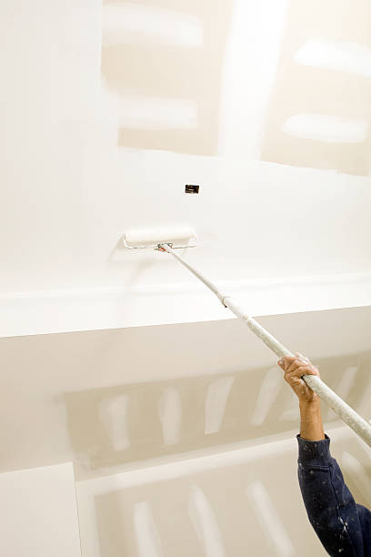 Best Post-Construction Mold Inspection  in Downs, IL