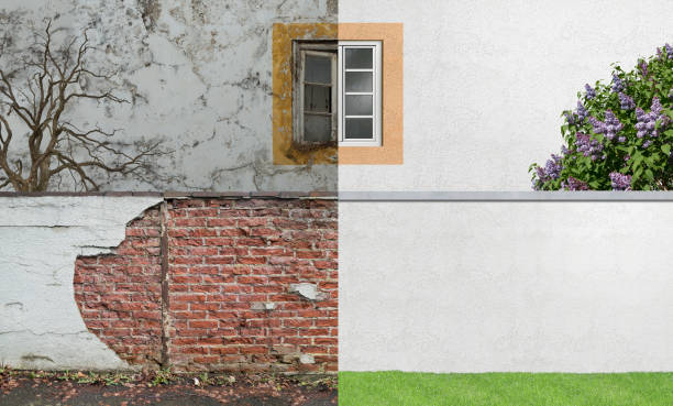 Best Mold Damage Restoration  in Downs, IL