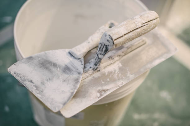 Best Emergency Mold Remediation  in Downs, IL