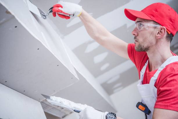 Best Residential Mold Inspection & Testing  in Downs, IL